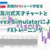 実践的FXトレード学習法：及川式天才チャートとForex SimulatorによるFXトレーニング